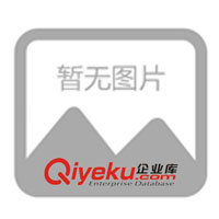 提供專業(yè)的攝影服務(wù)